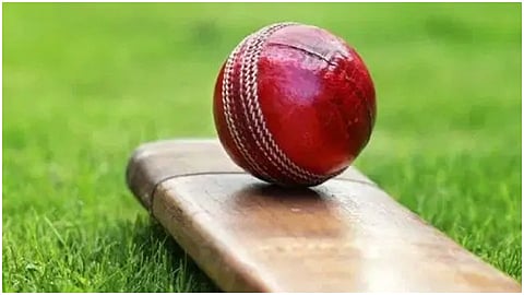 cricket main one.jpg
