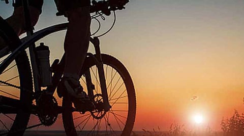 Cycle Track