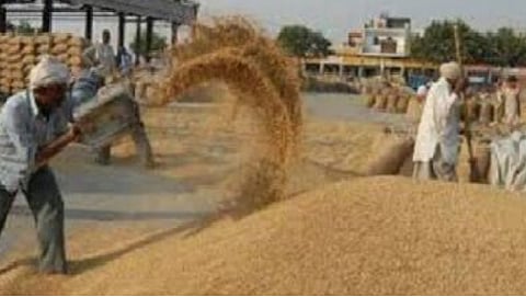 rice crop will sell on handwritten 7 12 extract in gondia