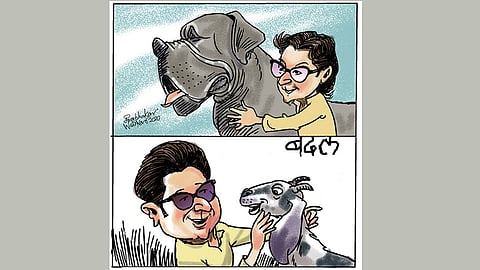 ढिंग टांग : खळ्ळ खट्याक ते सविनय कायदेभंग!