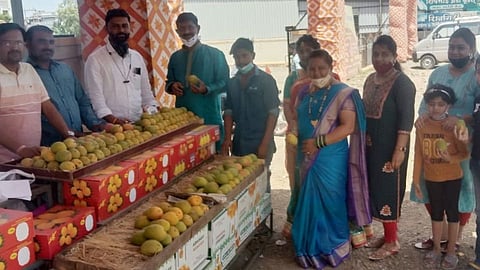 मंचरला वाढली 'हापूस'ची मागणी; भावही भिडले गगनाला