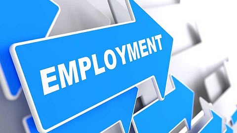 Employment Increased