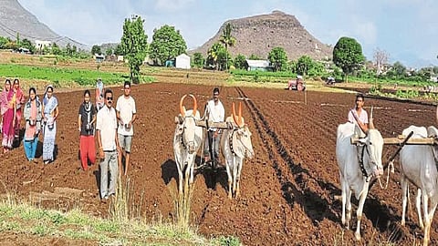 farm