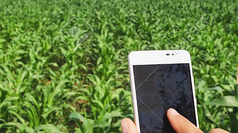 Agriculture News