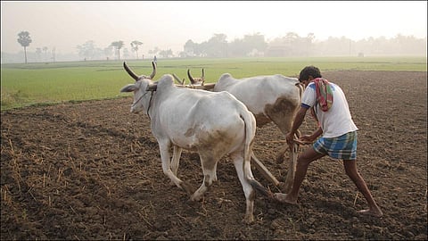 government has a debt waiver of two lakhs also imposed restrictions on farmers