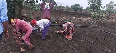 farmer in buldana.jpg