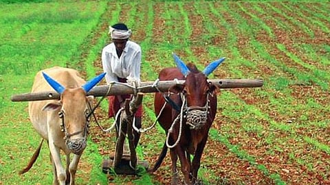 कर्जमाफीपाठोपाठ काँग्रेस सरकारची शेतकऱ्यांसाठी मध्यप्रदेशात मोठी घोषणा