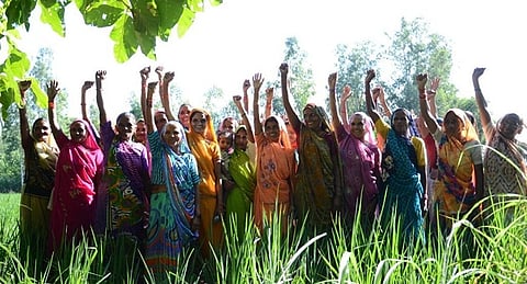Agriculture scheme women