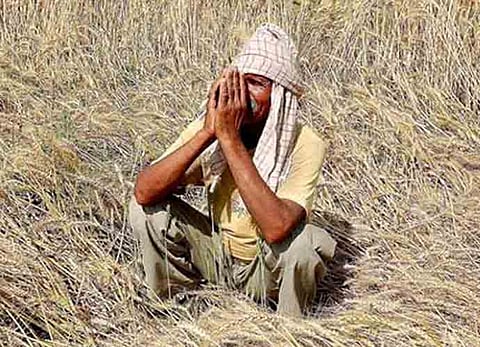 farner
