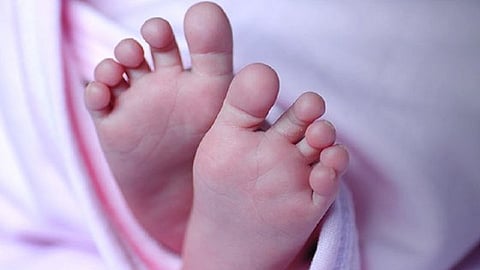feet.jpg