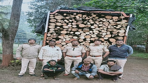 forest dept action.jpg