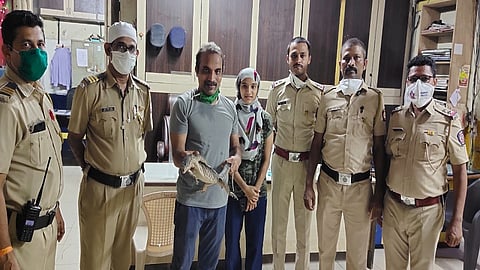 घोरपडीने केली चक्क आझाद मैदानात सैर; शिकारीची होती शक्यता...
