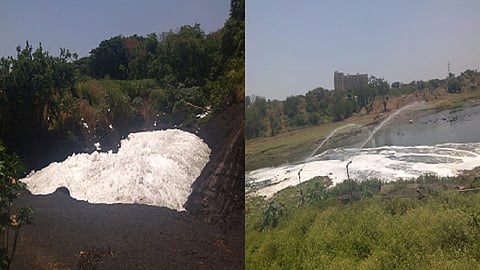 godavari.jpg