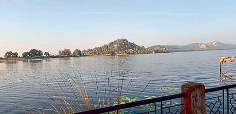 After the unlock, the crowd of tourists increased at the Navegaonbandh Tiger Project