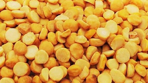 harbara dal