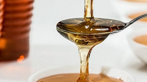 Amzari Shahapur will honey village GI tag Honey branding tourism amravati