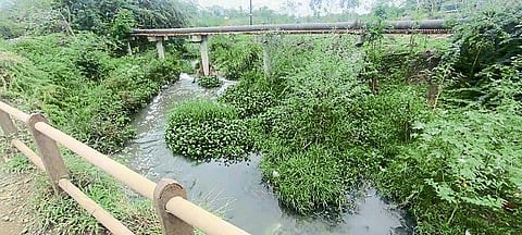 Sina River polluted due to closure of sewerage project