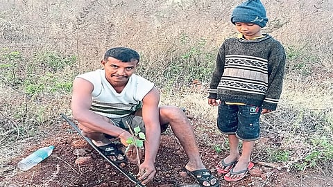 The Youth Of Jambhali Village Is Working For Tree Conservation Kolhapur Marathi News