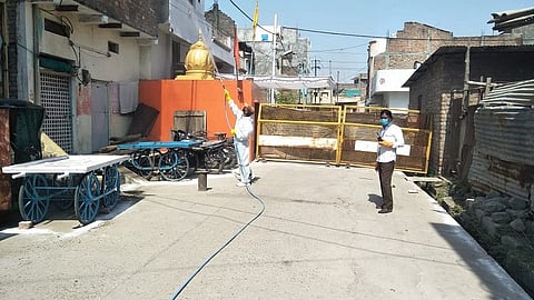 kalyan corona