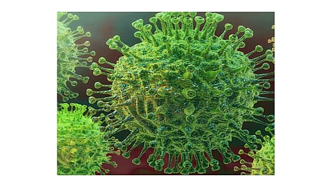 Corona virus arrives in Bangalore marathi news
