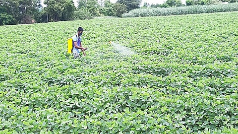 khed farmer
