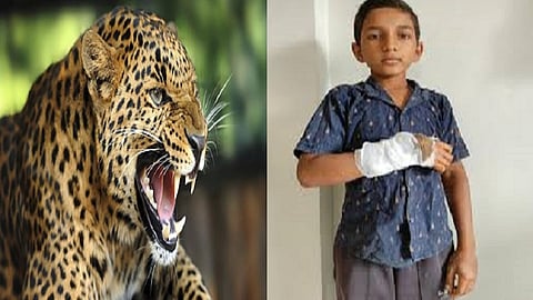 leoaprd.jpg