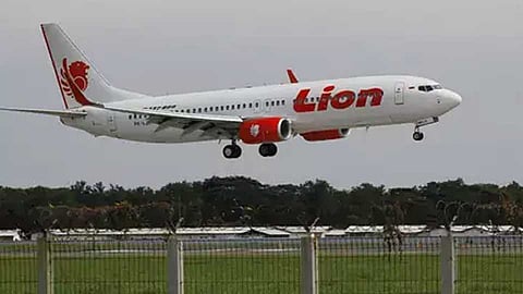 lion Airways