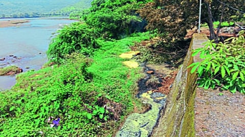 अलिबाग : सावित्री पात्रातील गाळ काढणार