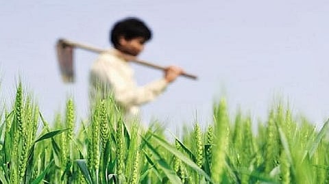 Agriculture