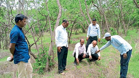 khatav