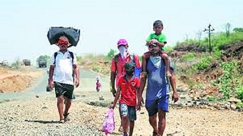 migrants