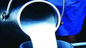 Milk producers suffer from a decline in milk sales due to lockdown