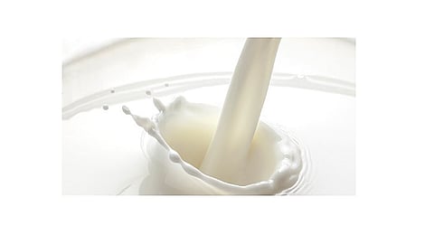 'Milk has become cheaper than water'