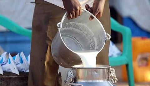 The milk business is coming to a standstill; Demand for byproducts grew slowly; The question of powder is still serious