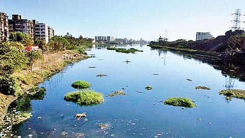 चर्चा जोरात आहे, मिठी नदीच्या प्रस्तावावरुन महाविकास आघाडीत मिठाचा खडा