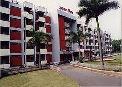 mla