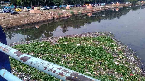 nadi-pollution.jpg
