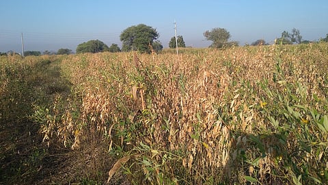 nnd07sgp07.jpg