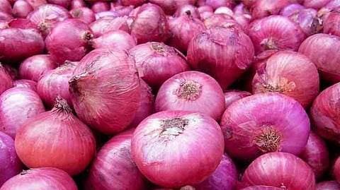 Onion Rate News