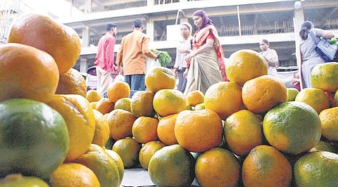 nagpur oranges