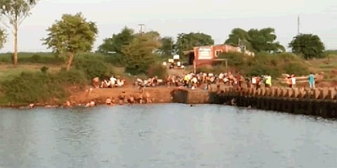 if action on swim in kolhapur Panchganga river