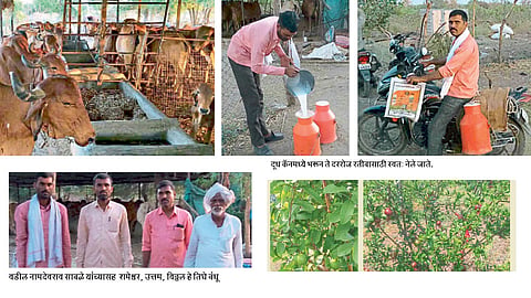 देशी दुग्धव्यवसायातून अर्थकारणाला बळकटी