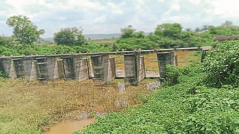pargaon