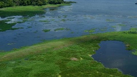 pawai-lake