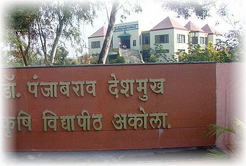 Akola News: Dr. Punjabrao Deshmukh Agricultural University jumps ten points in national rankings