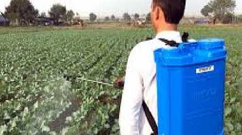Agriculture News