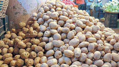 वाळवणाच्या पदार्थांमुळे बटाटा तेजीत