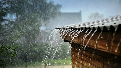 heavy rain in vidarbha this year