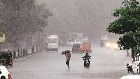 rain