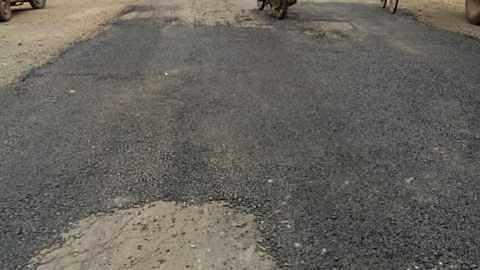 road 1.jpg